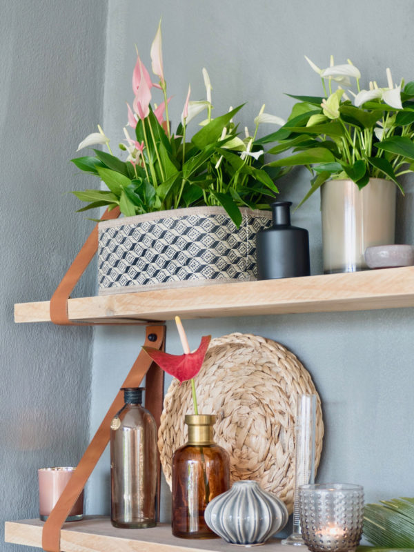 Zeige Informationen über den Snippet-Editor.Du kannst auf jedes Element in der Vorschau klicken, um zum Snippet-Editor zu springen. SEO-Titel-Vorschau:Trend: botanische Weihnachtsdekoration mit Anthurien