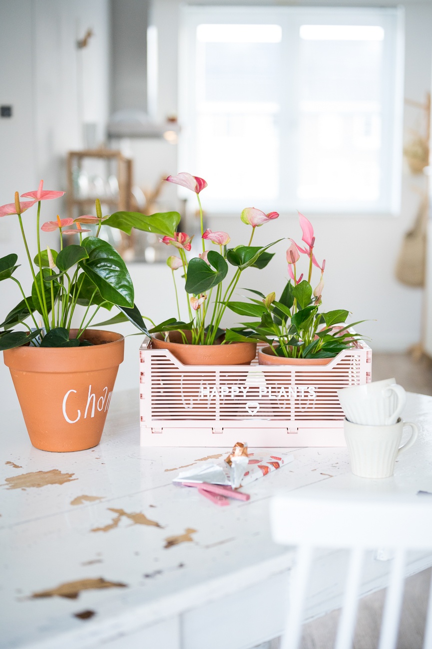 Muttertag DIY