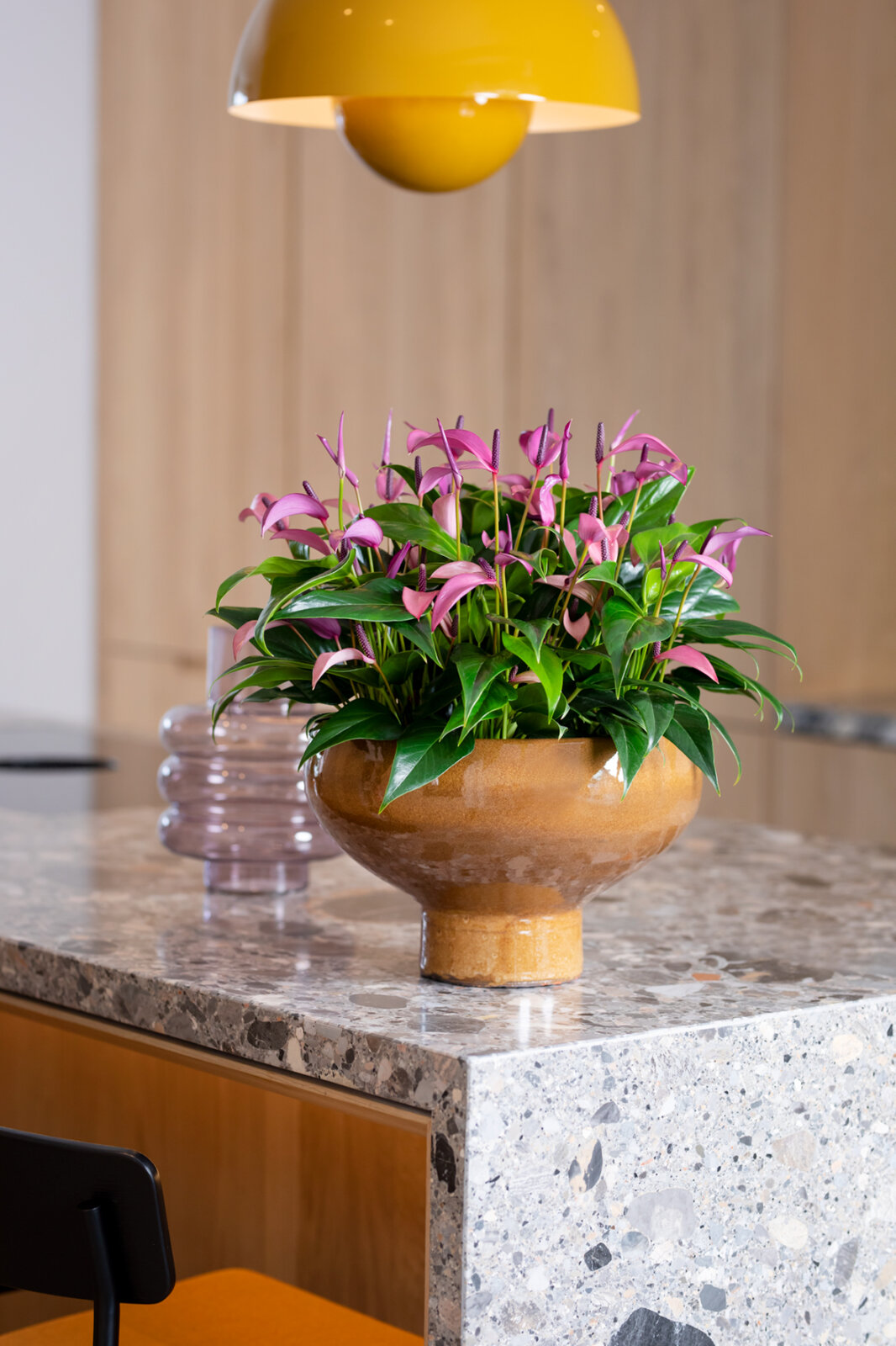 farbenfroher jahresbeginn