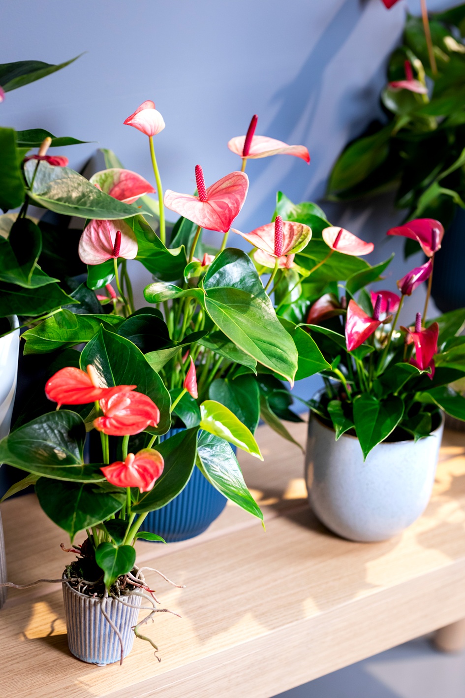 nachhaltige vorsätze