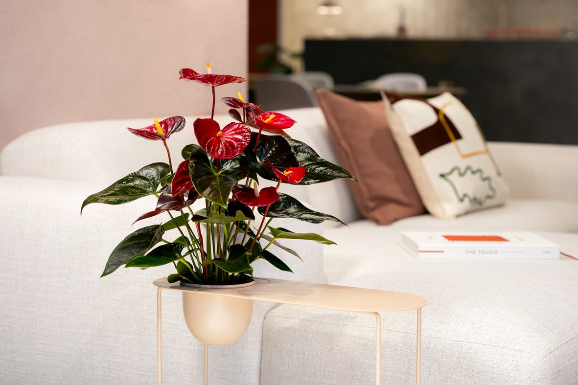 Indoor-Herbst