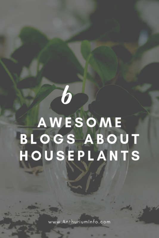 6 great blogs about plants