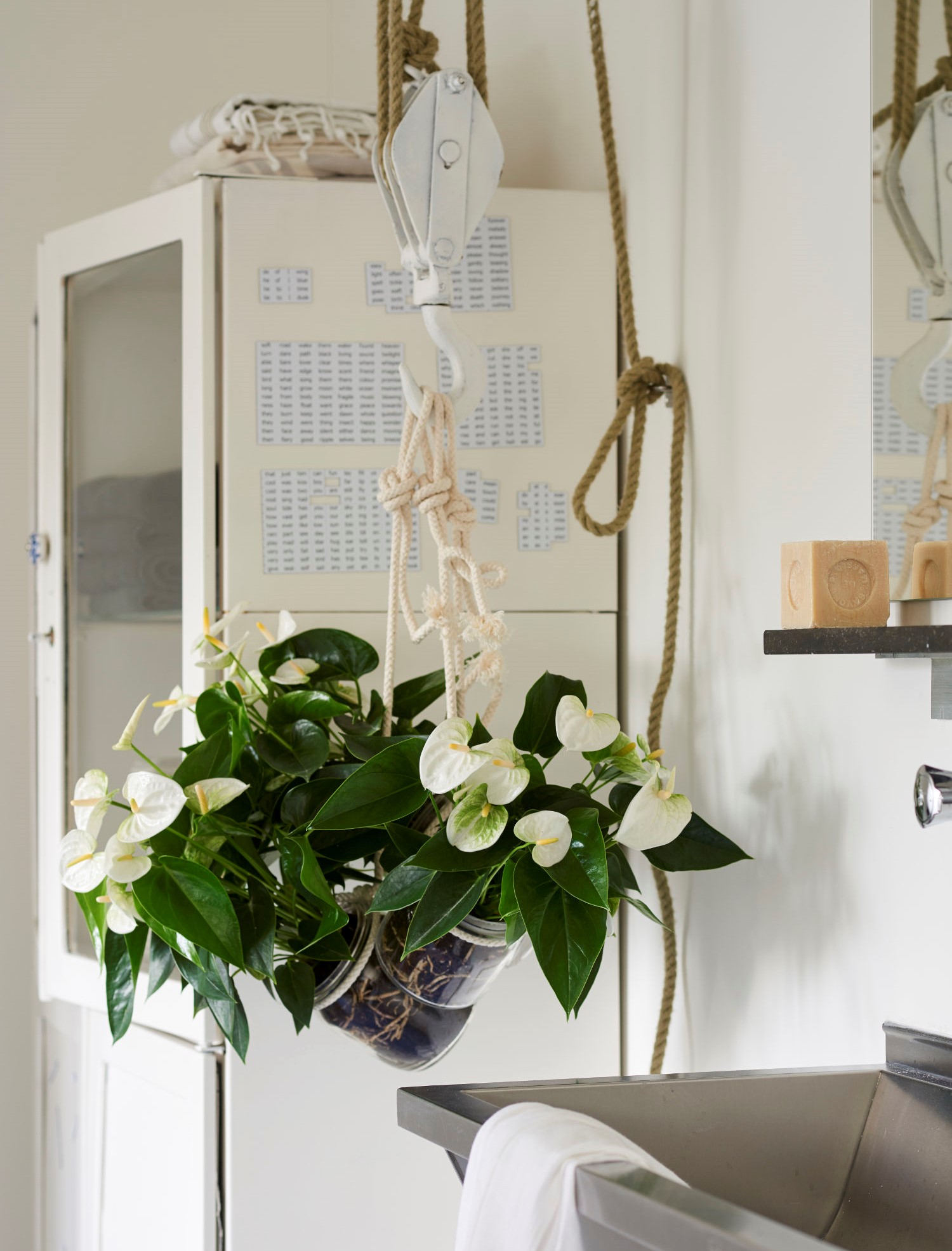 7 beautiful ways to display your plants in your apartment
