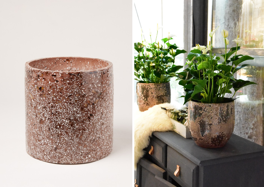 6 distinctive plant pots for your anthurium plant