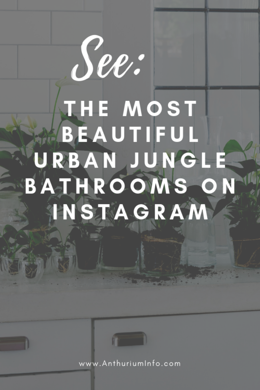 The most beautiful urban jungle bathrooms on Instagram