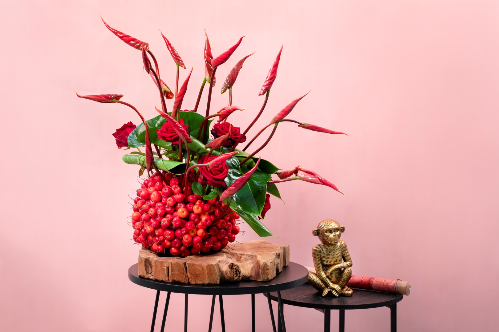 Here are the newest Anthurium plants and flowers