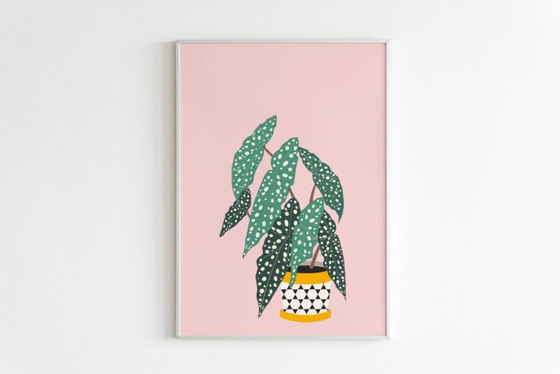 5x botanical artwork to decorate your empty walls