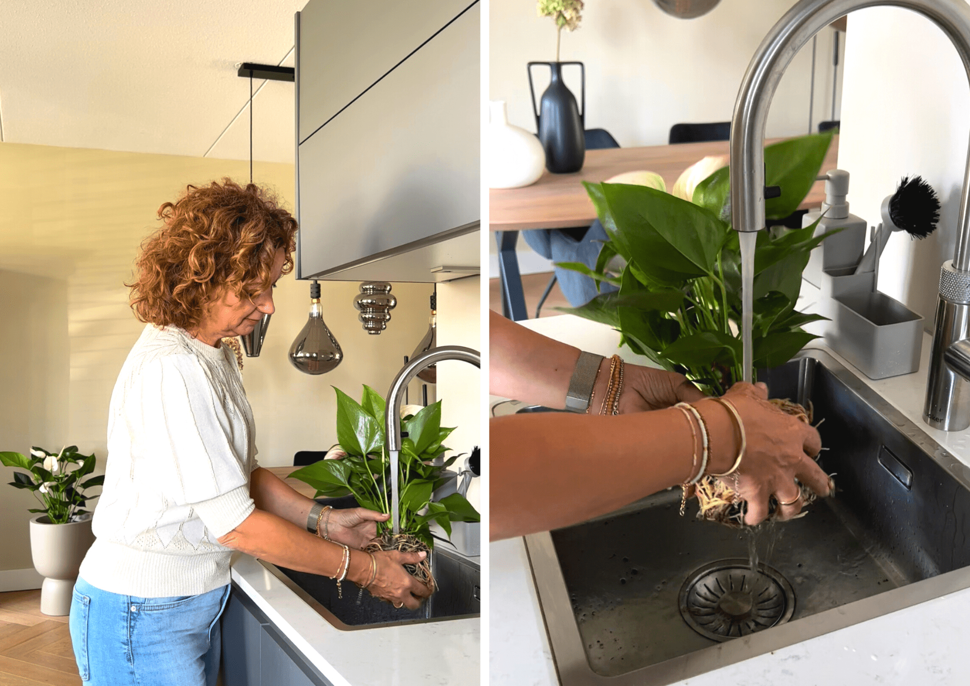 Check it out: Anthurium on water