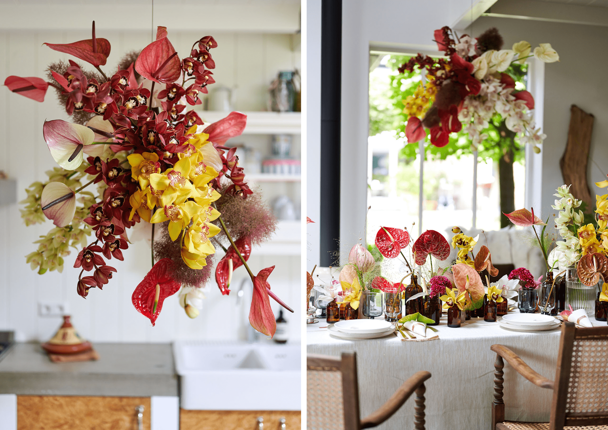 December decorations with Anthuriums
