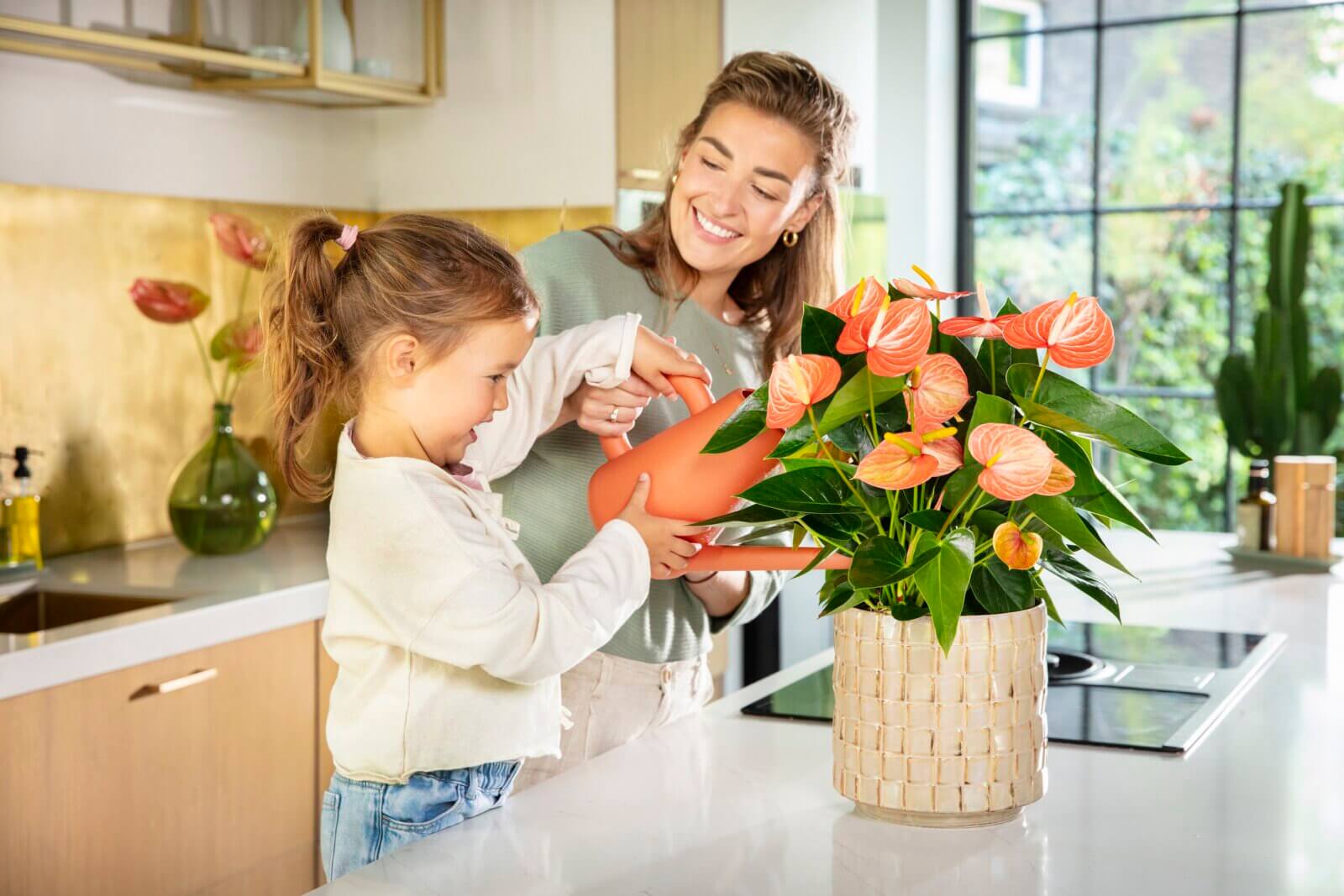 more than just a plant