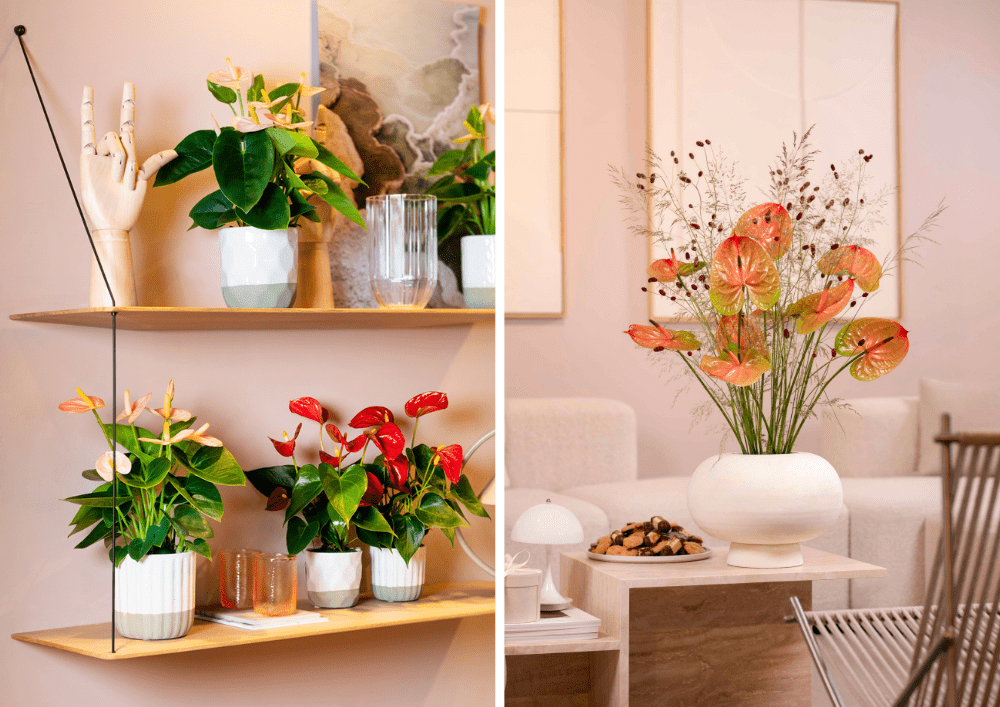 from festive to fresh