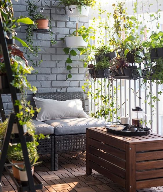 oasis de verdure sur votre balcon
