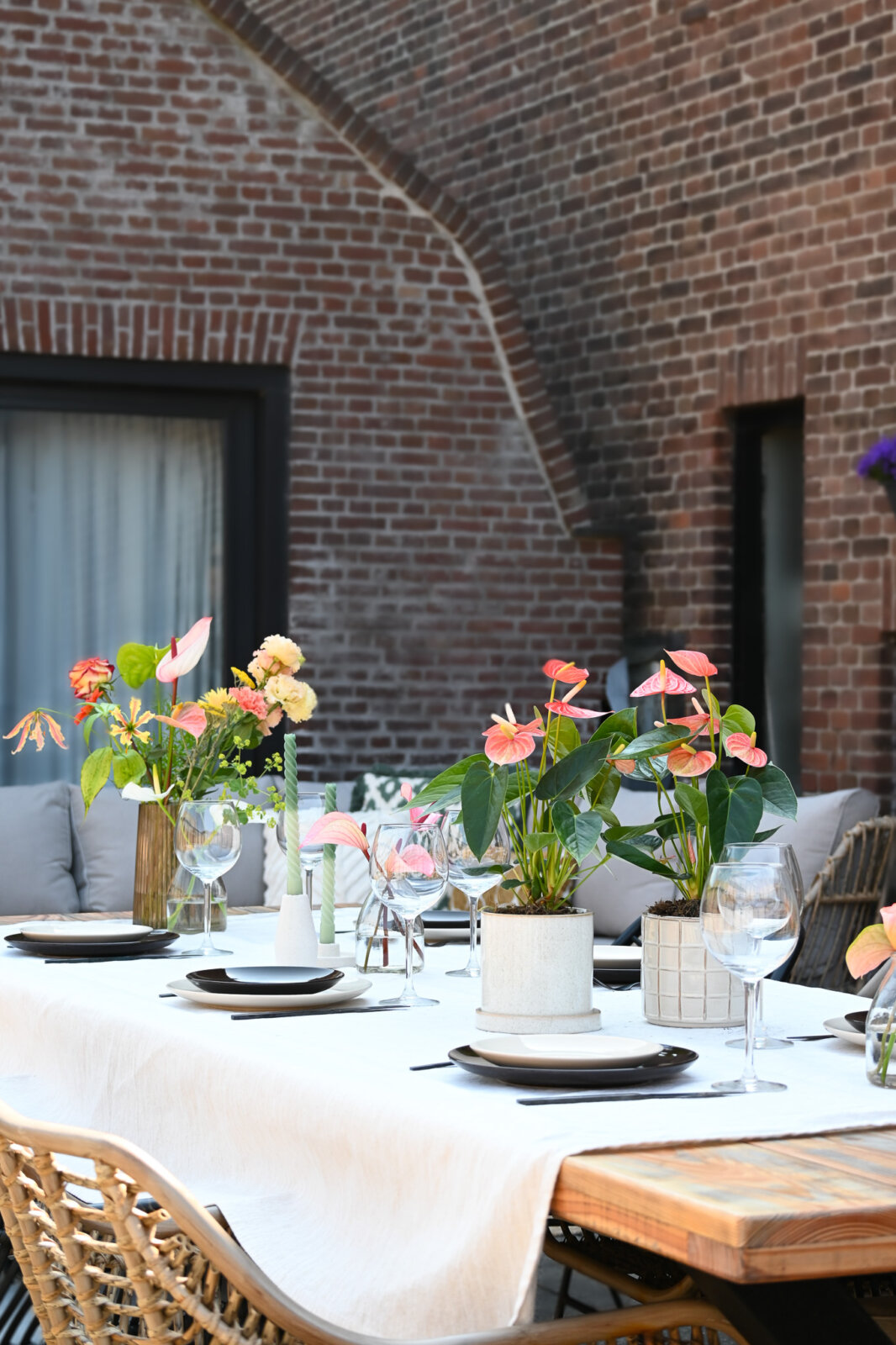 anthuriums sur terrasse