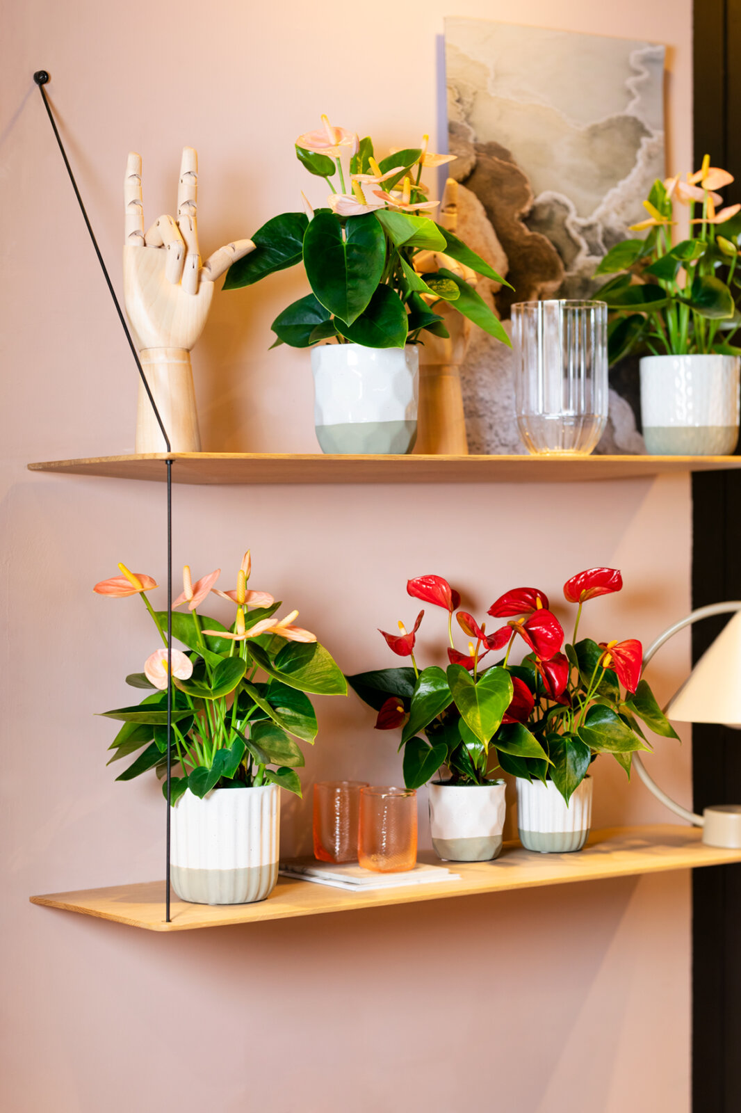 Déco avec des mini-anthuriums