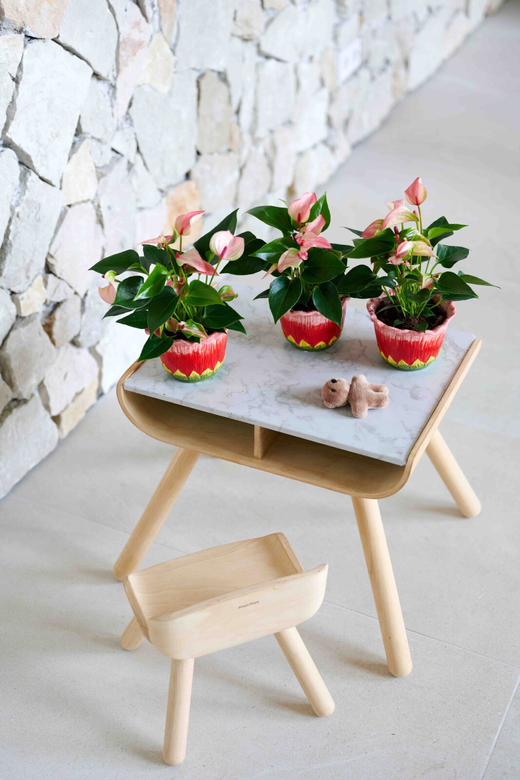 Déco avec des mini-anthuriums