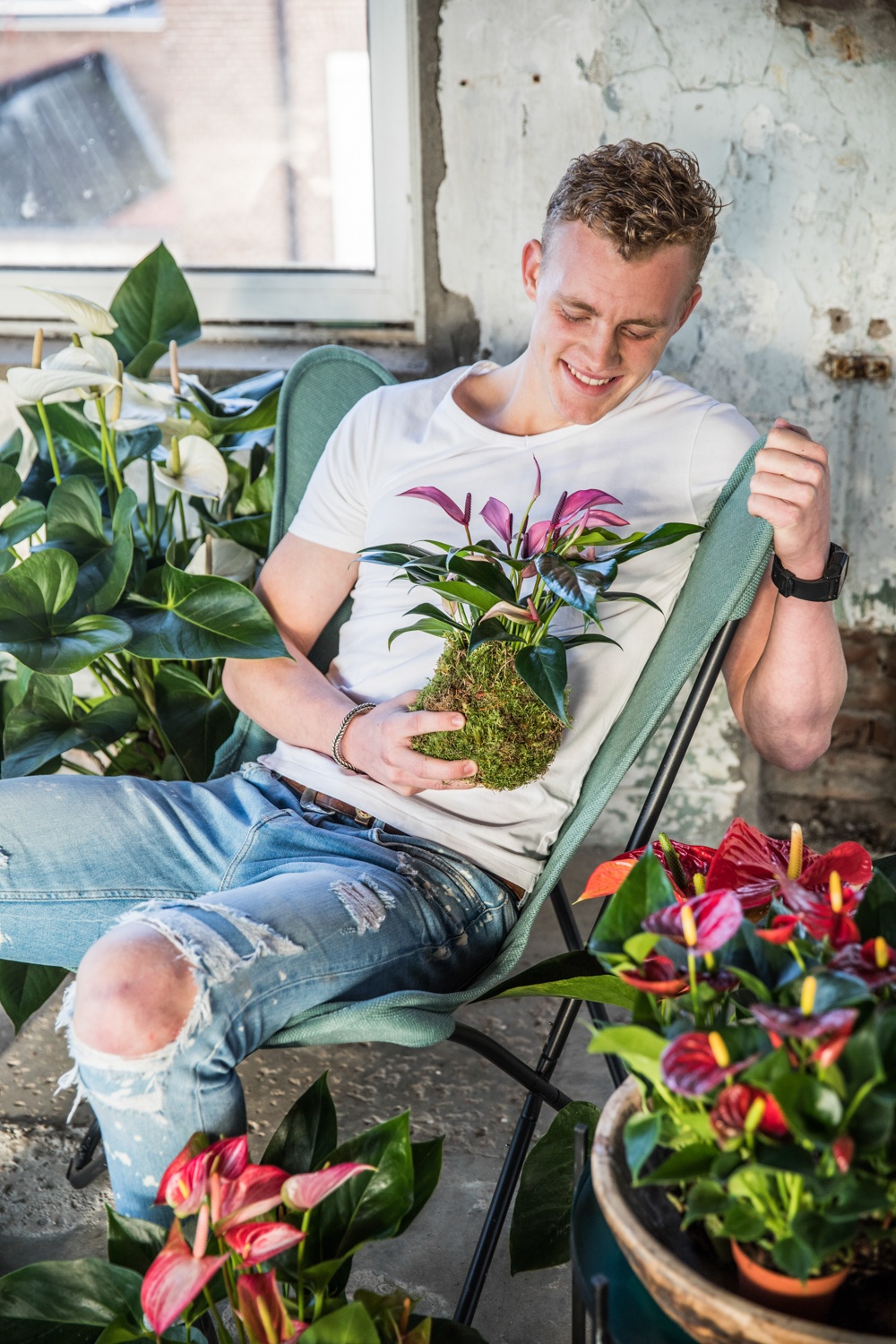 anthurium la fête des Pères