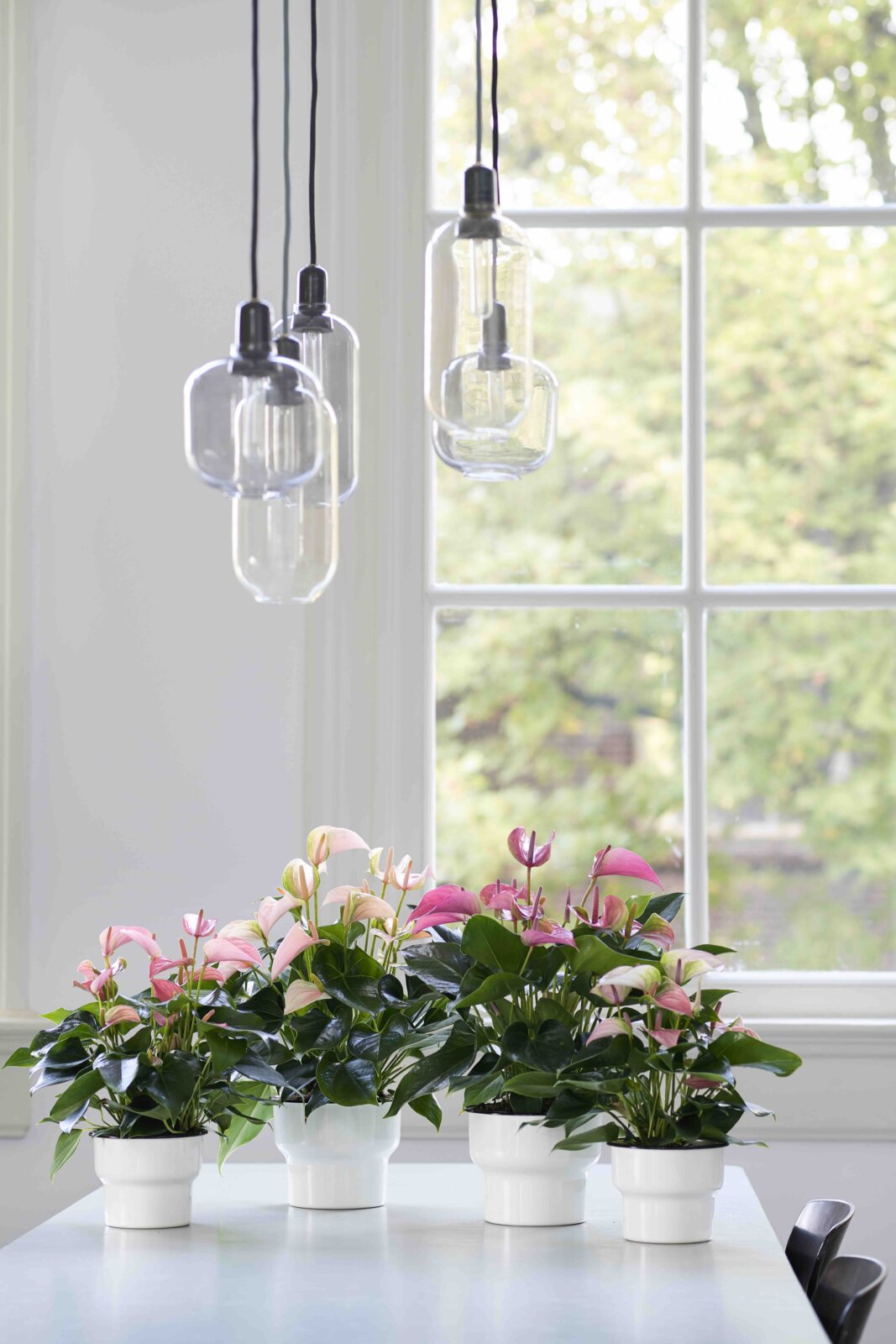 pot intérieur en plastique