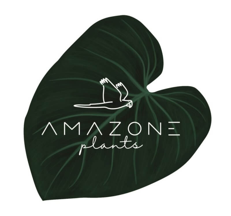 Amazone Plants