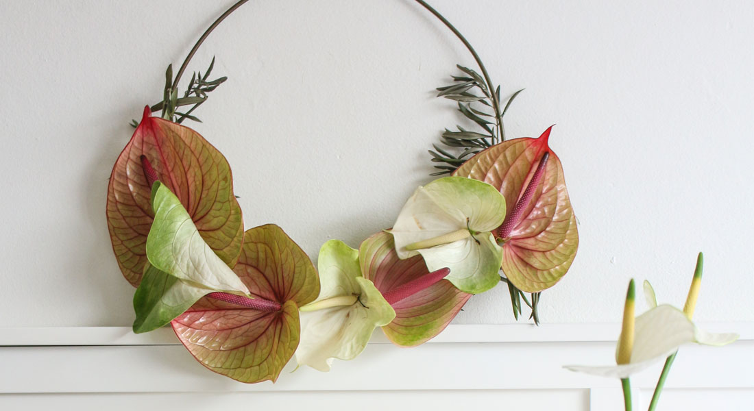 4 DIY ideas for Mother's Day that use anthurium flowers and plants