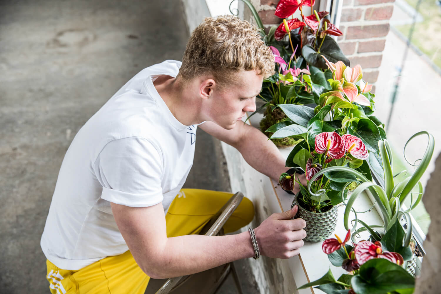 5x anthurium cadeau-geef-dagen om in je agenda te zetten