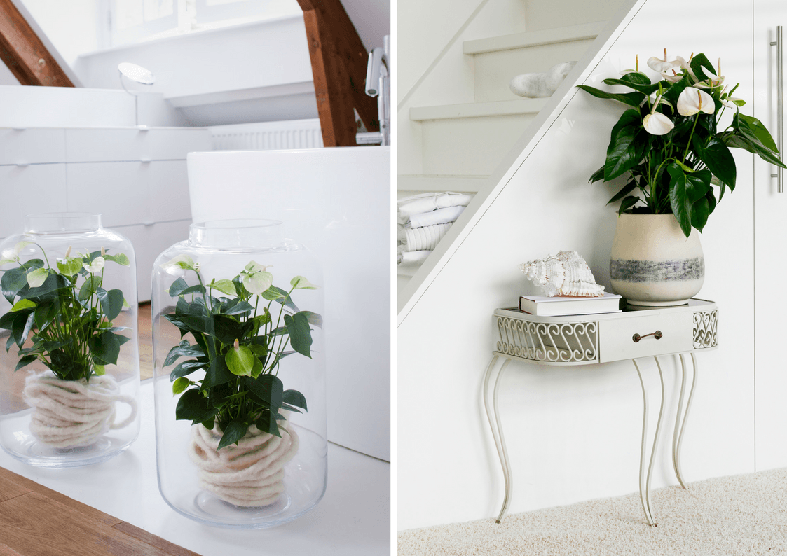 Give your home a spring update