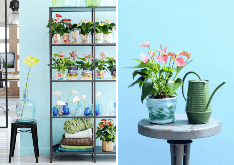 Lente-update voor jouw interieur
