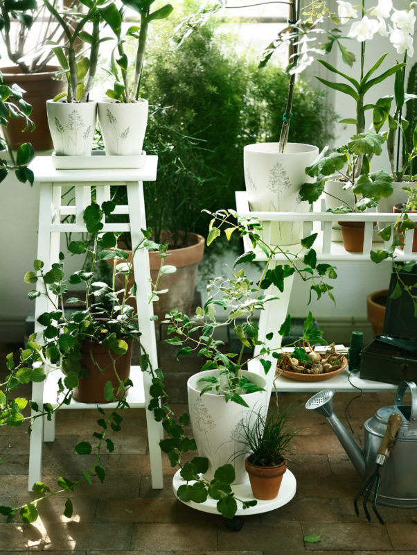 5x gave plantenstandaard van €30 of minder