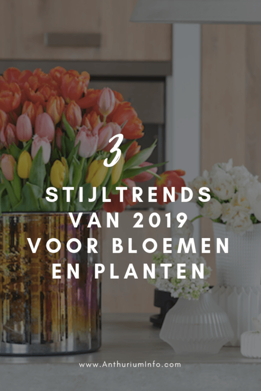De 3 stijltrends van 2019 voor de bloemen- en plantensector