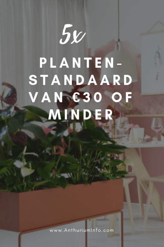 5x gave plantenstandaard van €30 of minder