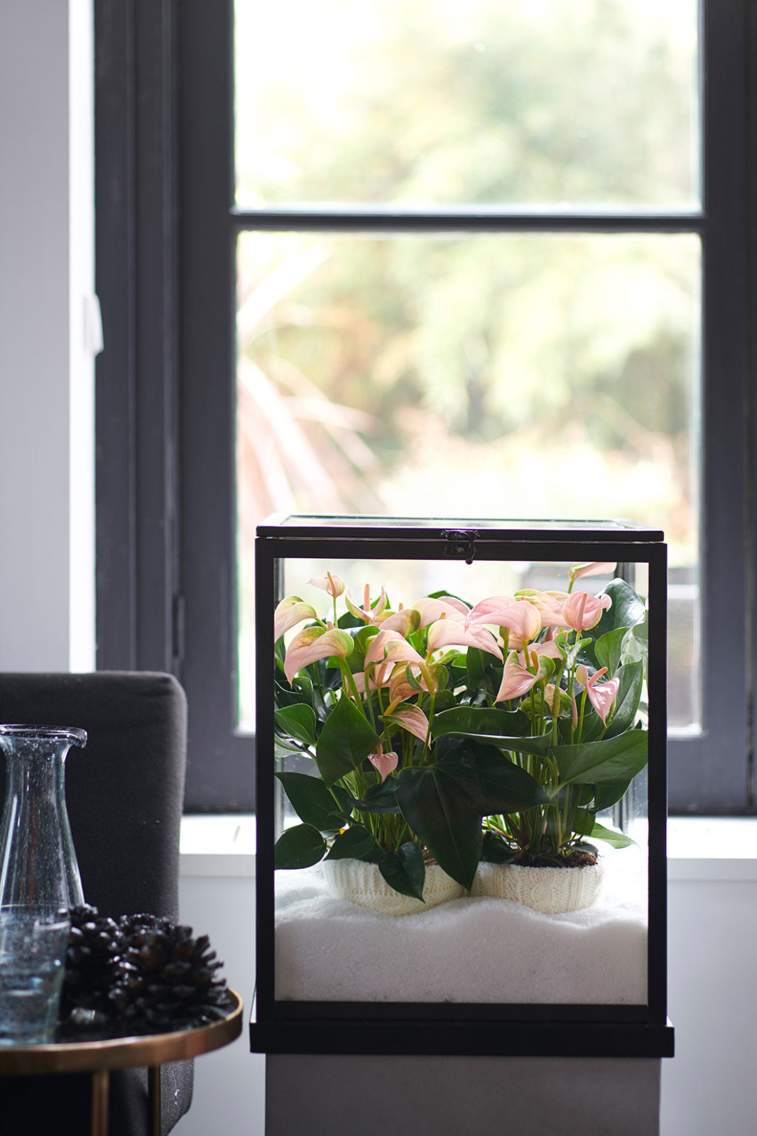 6 manieren om je planten mooi neer te zetten in je interieur