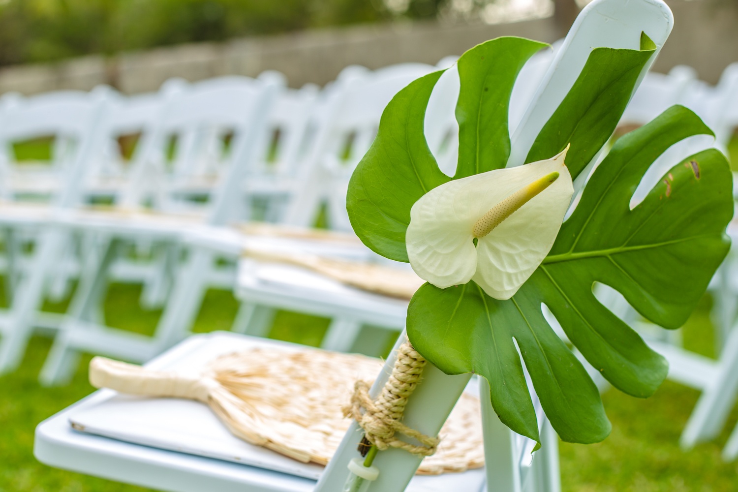 Stuhldekoration Hochzeit anthurium Blumen