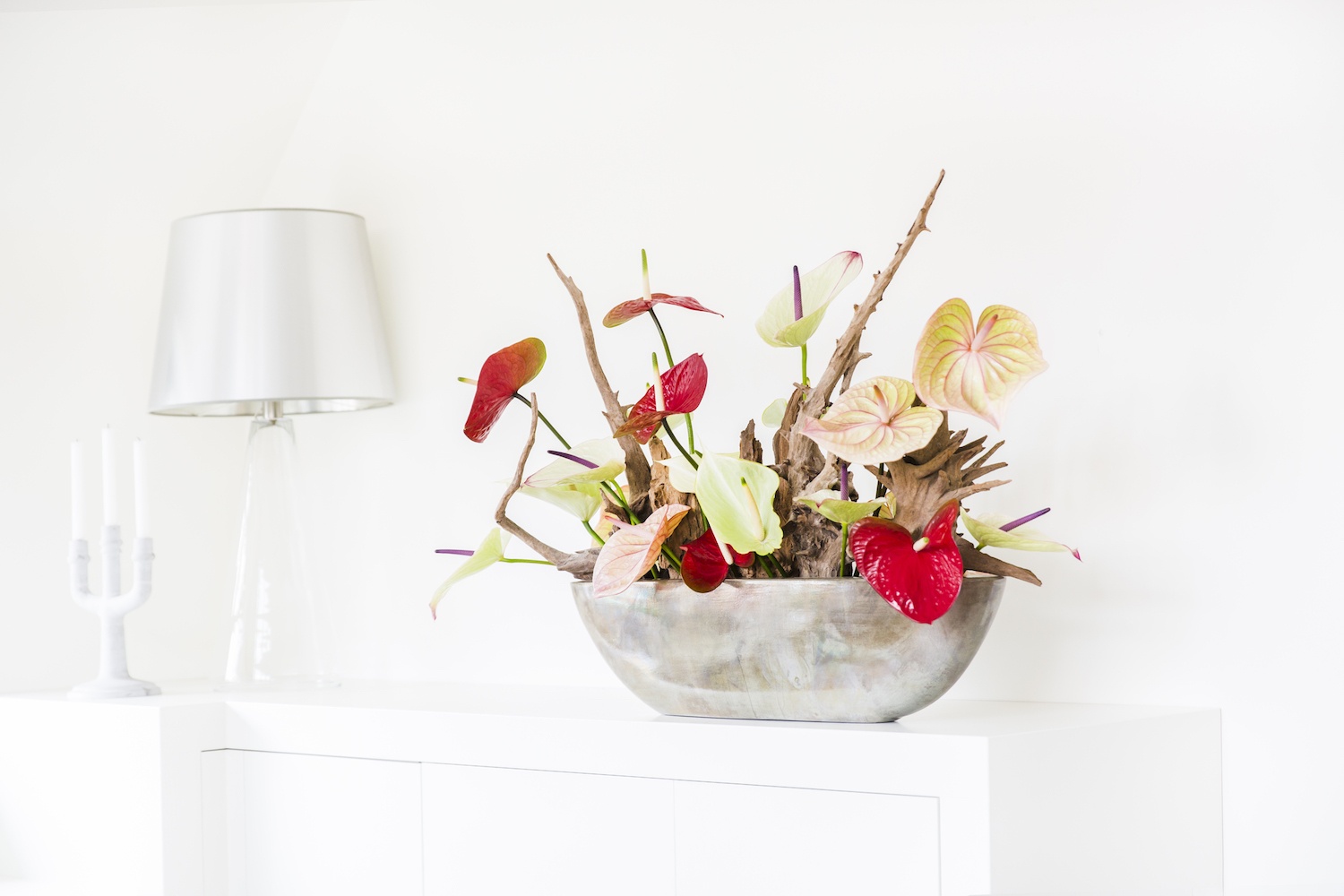 Une composition florale avec des fleurs d’anthurium : 3 exemples