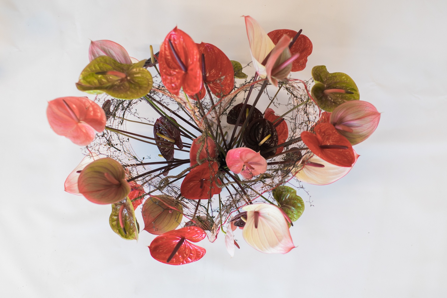 A flower arrangement using cut Anthurium flowers: 3 examples