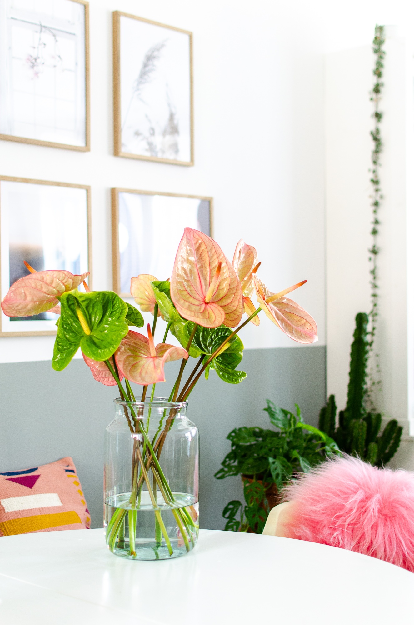 Making a bouquet using cut Anthurium flowers: tips & inspiration