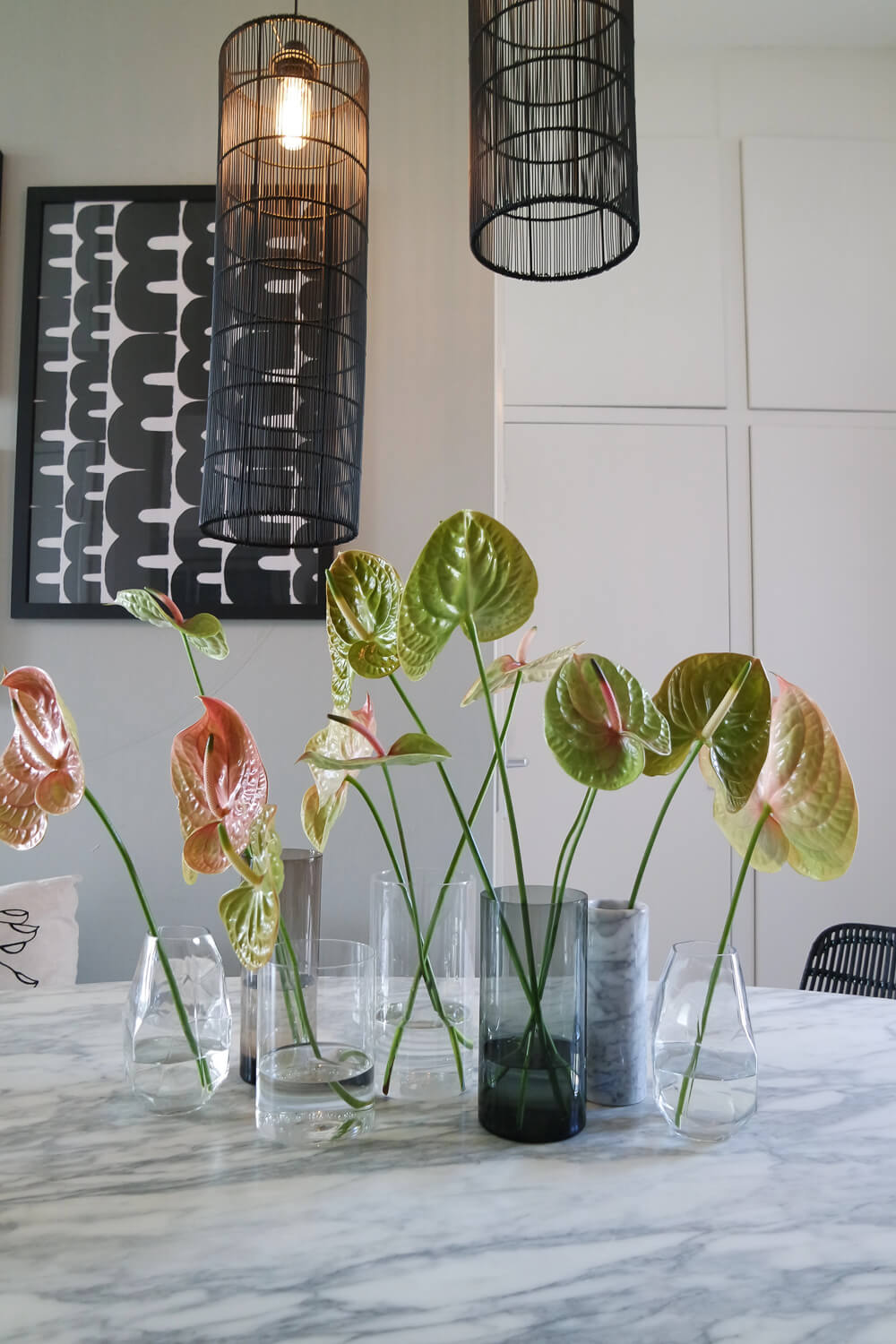 Anthurium flowers in 3 entirely different interiors