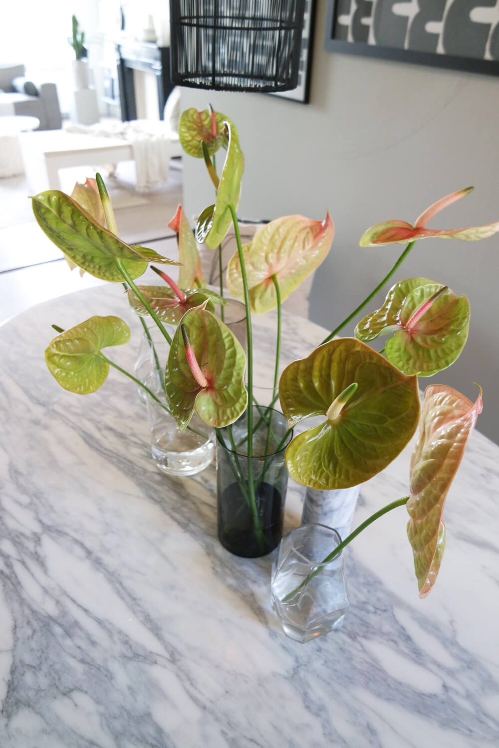 Des fleurs d’anthurium dans 3 intérieurs totalement différents