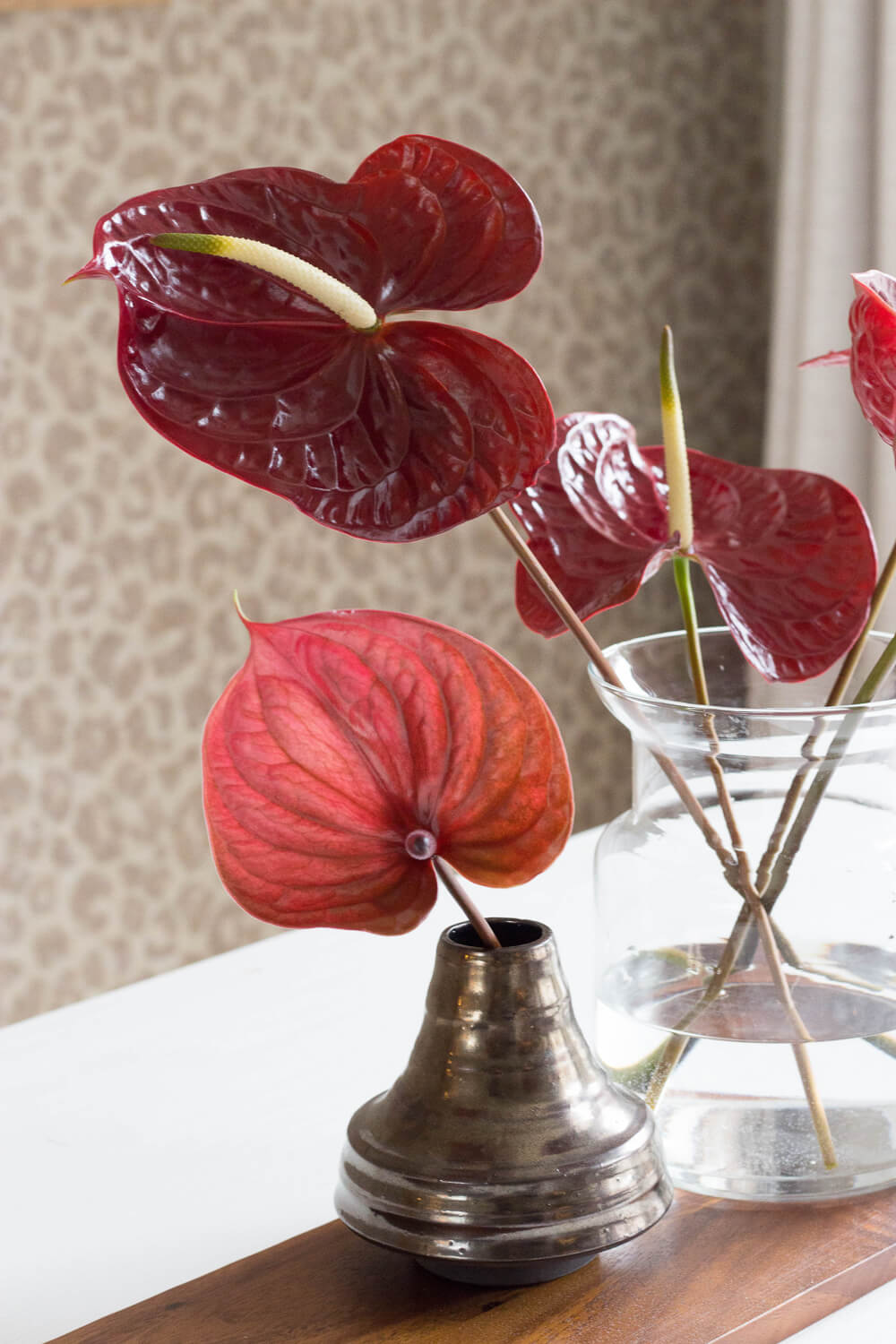 Anthurium flowers in 3 entirely different interiors