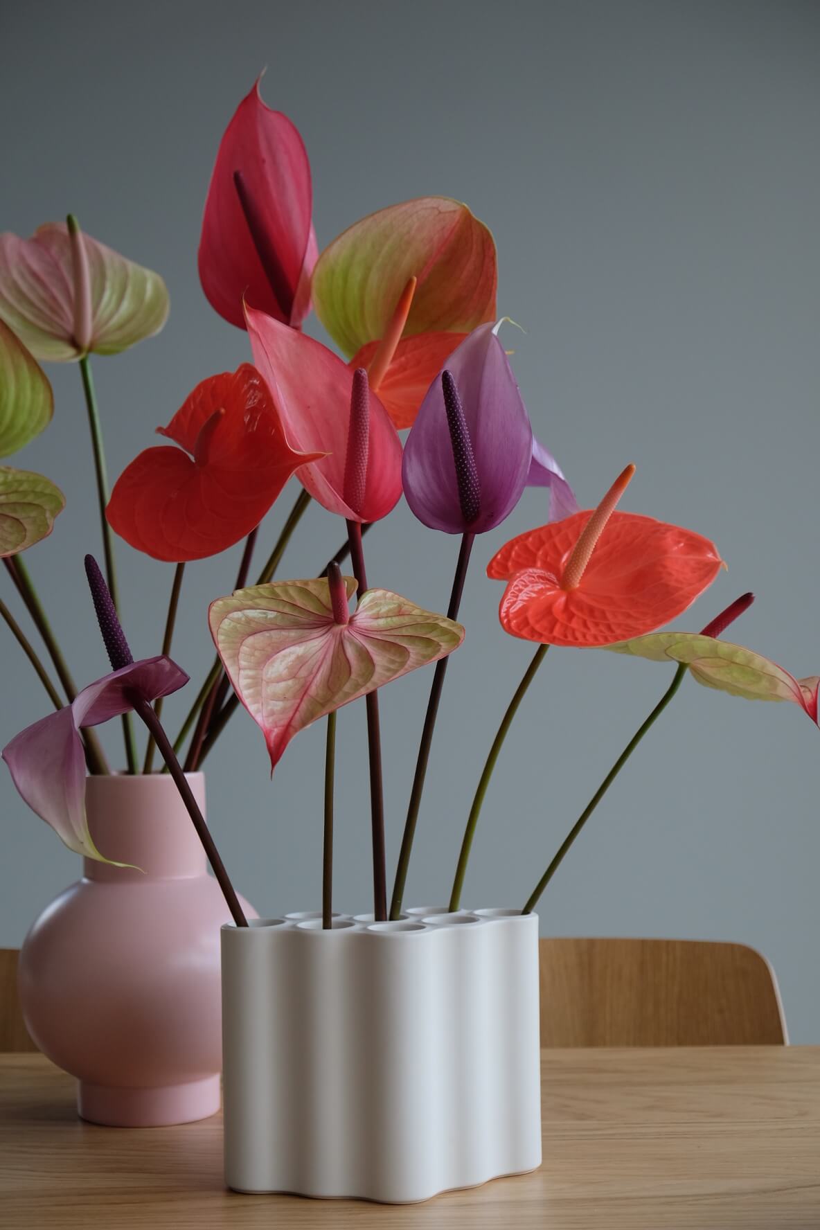 Anthurium flowers in 3 entirely different interiors