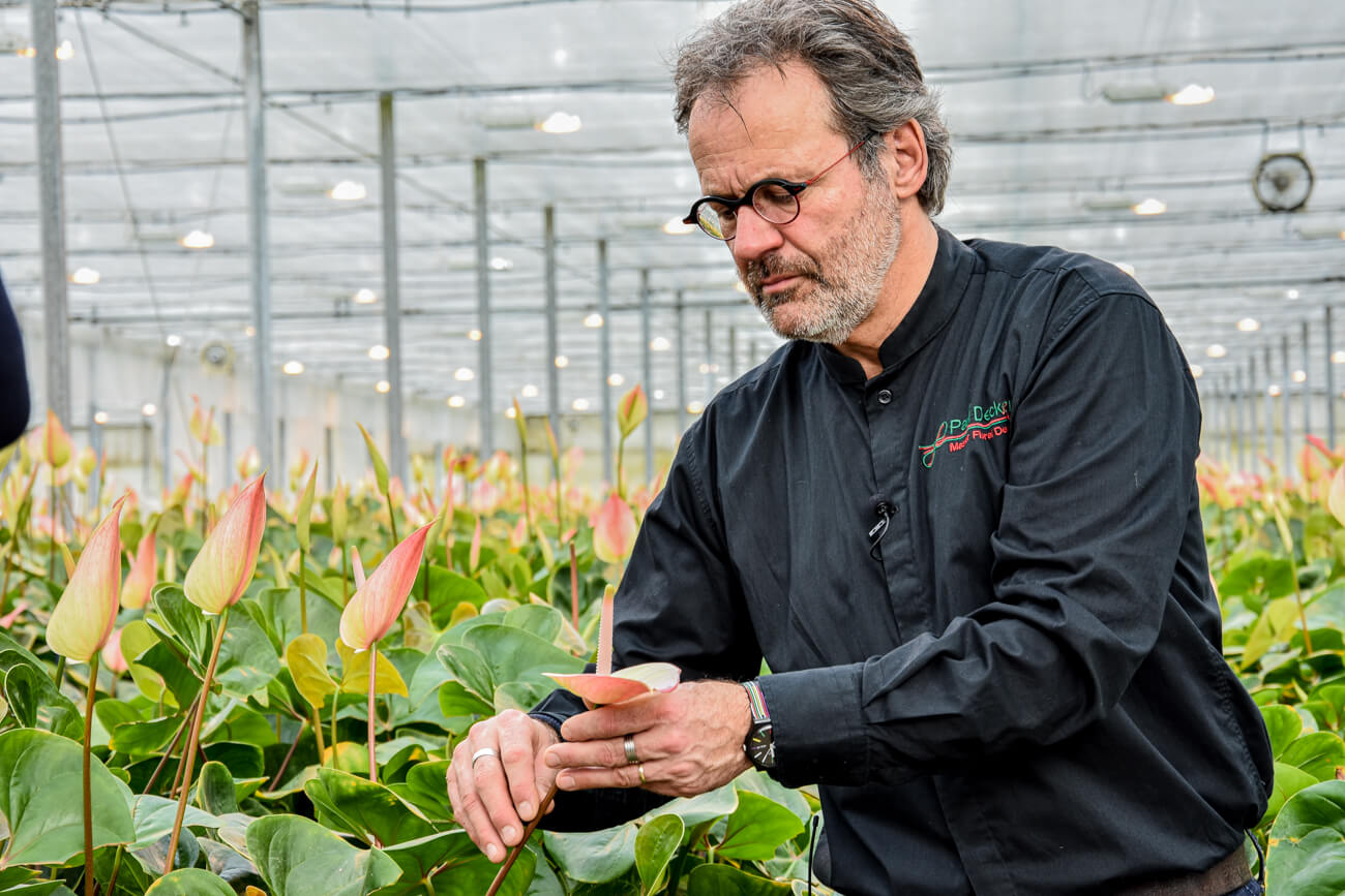 Floral Designer Paul Deckers laat plannen zien aan anthuriumkwekers02