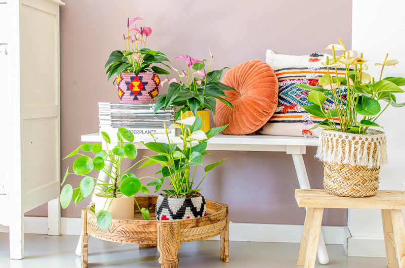 4 tolle Gestaltungsideen für mehr Pflanzen in Ihrem Interieur