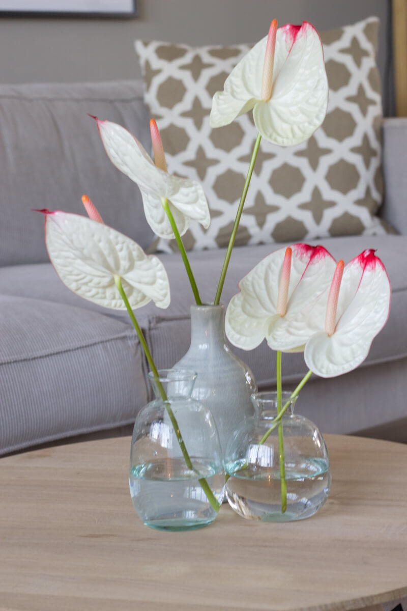 10x anthuriums in een bohemian interieur