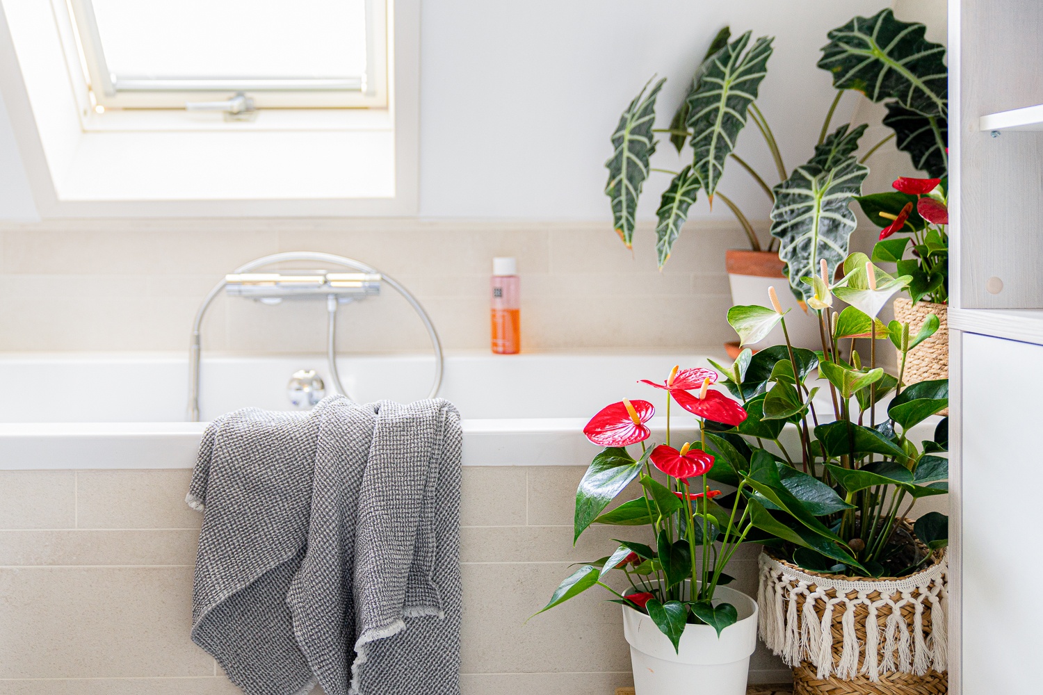 How to upgrade your bathroom with flowers