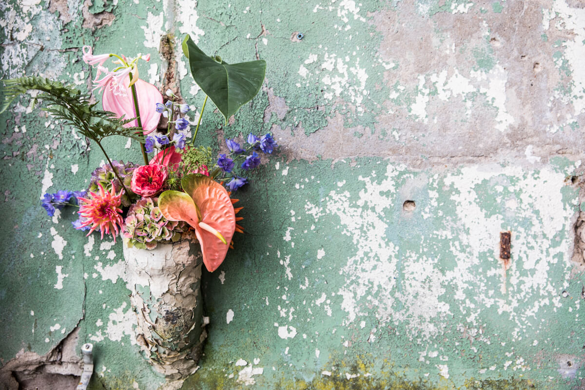 Bloemen aan de muur