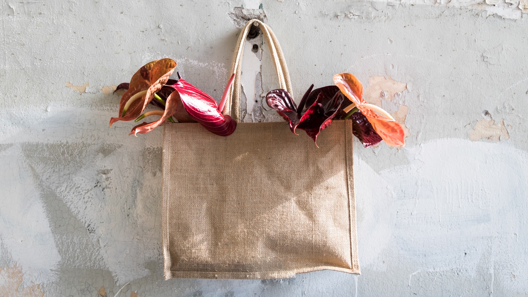 Anthuriums in een tas aan de muur