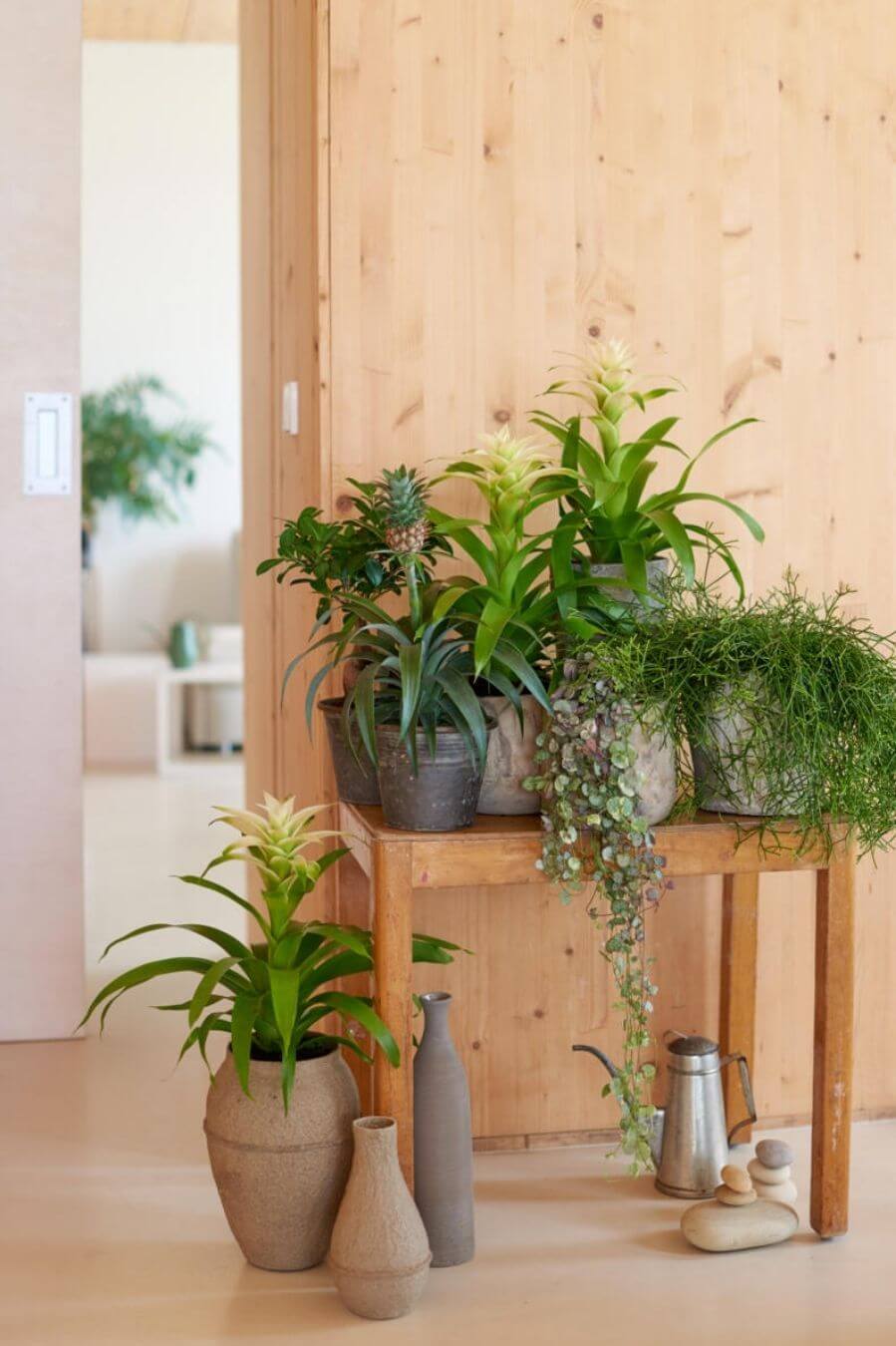 Voici comment adopter le style Urban Jungle dans votre intérieur