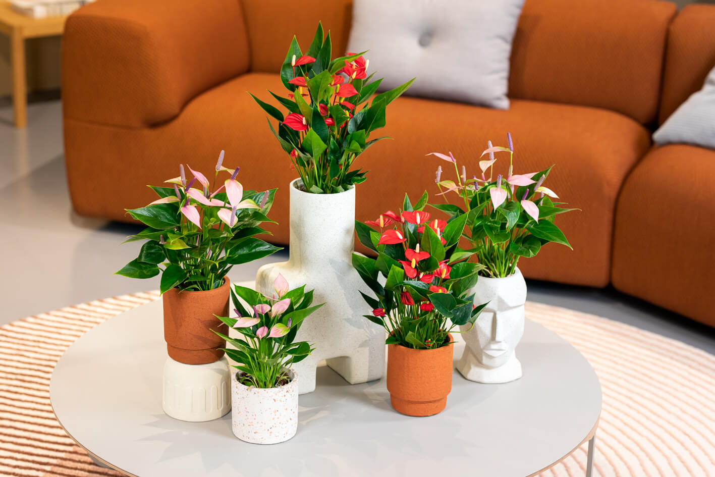 Blumen und Pflanzen – Die besten Farben für Ihr Homeoffice