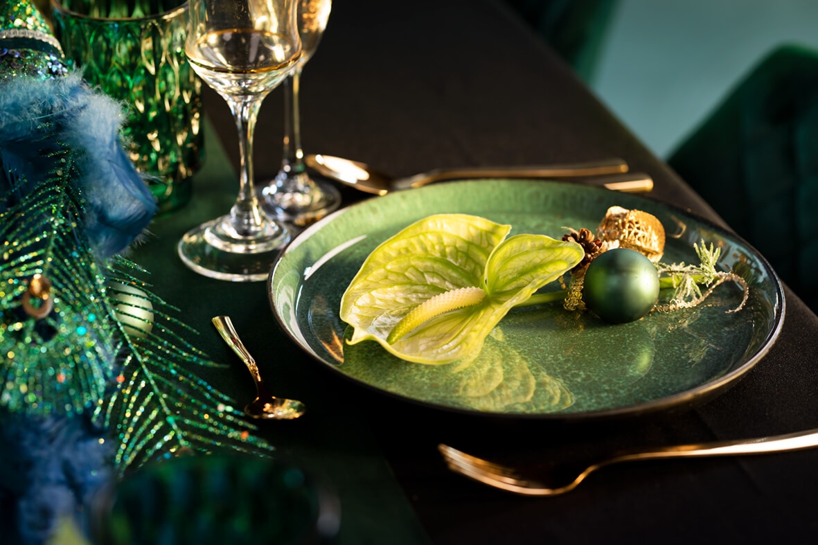 Anthuriums for added glamour at Christmas