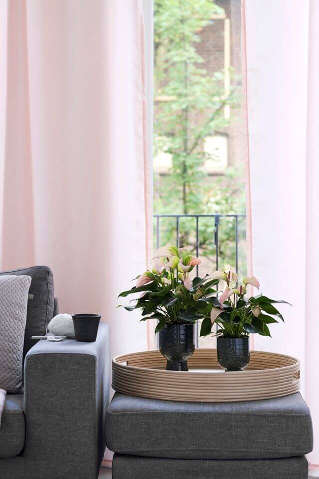 Lente in huis