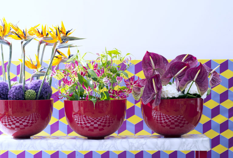 Anthurium_blumen_blüten_florist_Schnittblume_Topfpflanze_Pflege