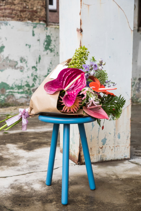 5 Anthurien Geschenktage zum Notieren für Ihren Kalender